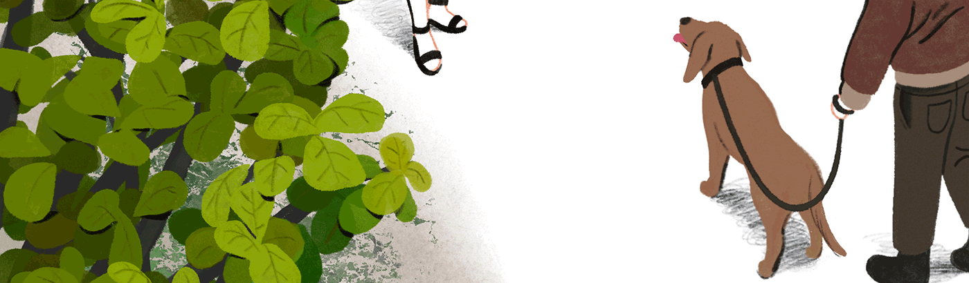 A dog wagging its tail.